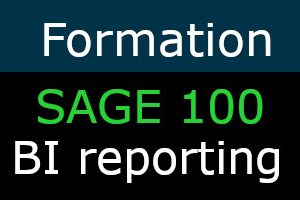 Formation SAGE 100 BI Reporting