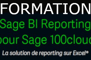 Formation Sage BI Reporting