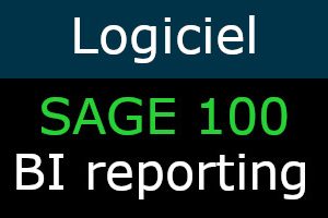 SAGE 100 BI REPORTING